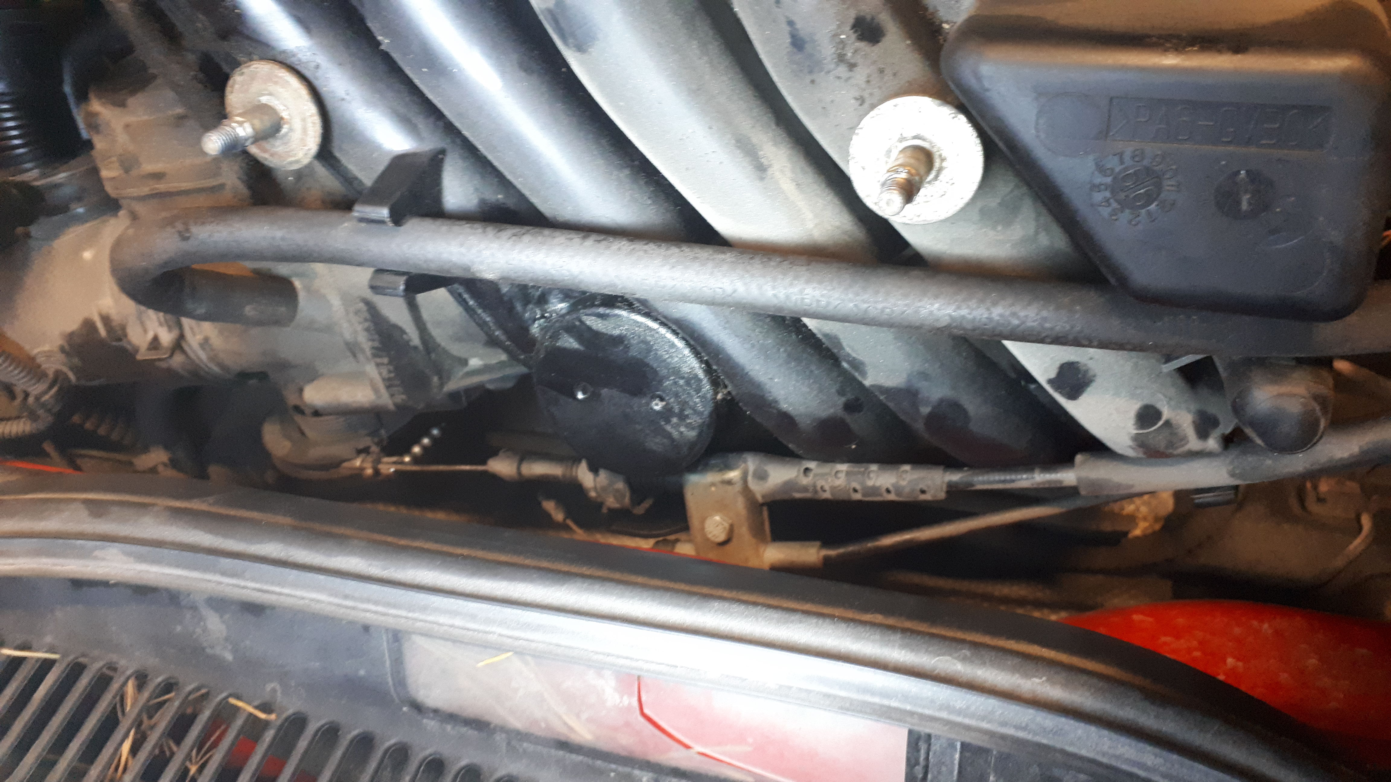 IMG-20180820-WA0000.jpeg