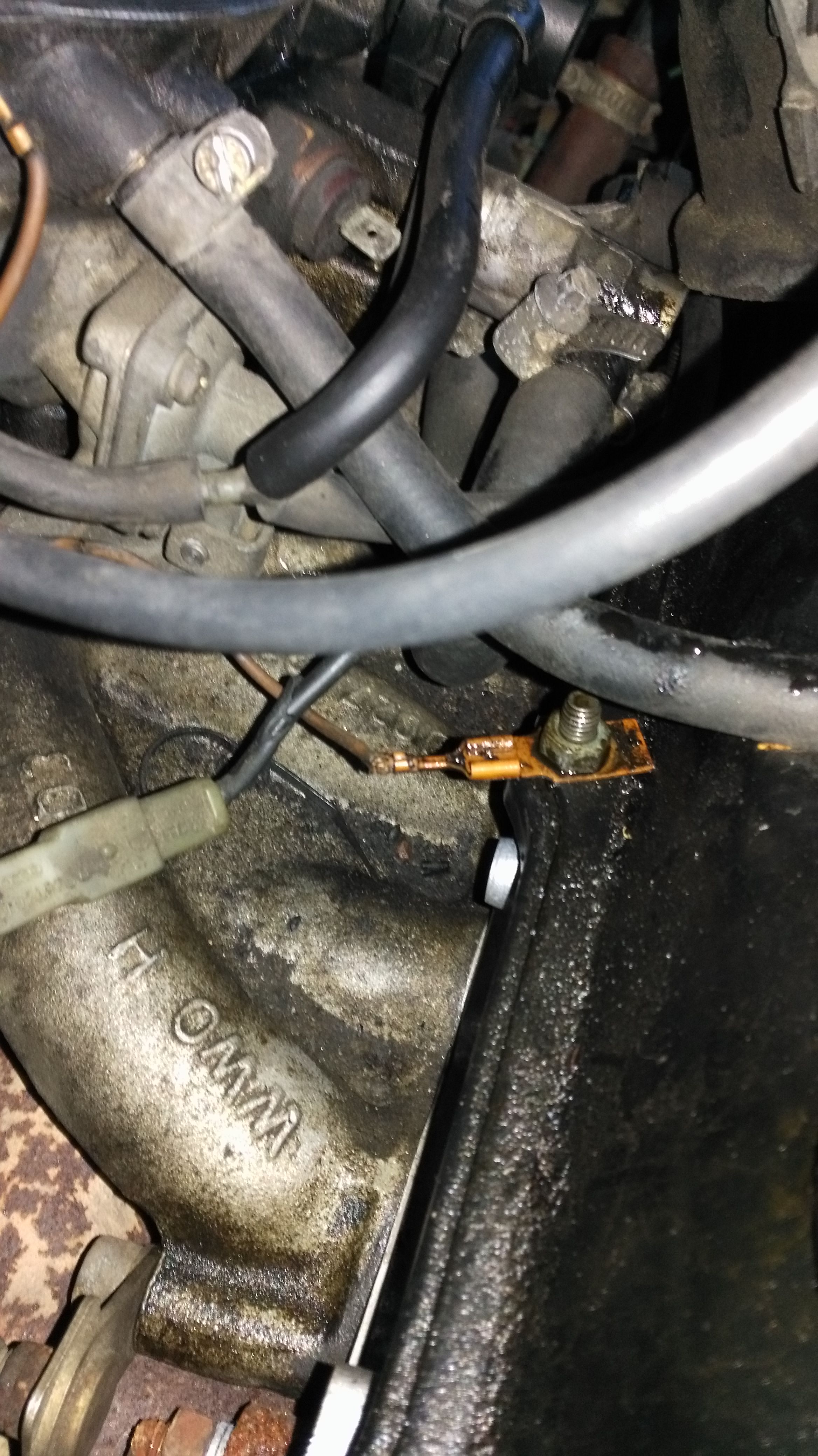 IMG-20160414-WA0064.jpeg