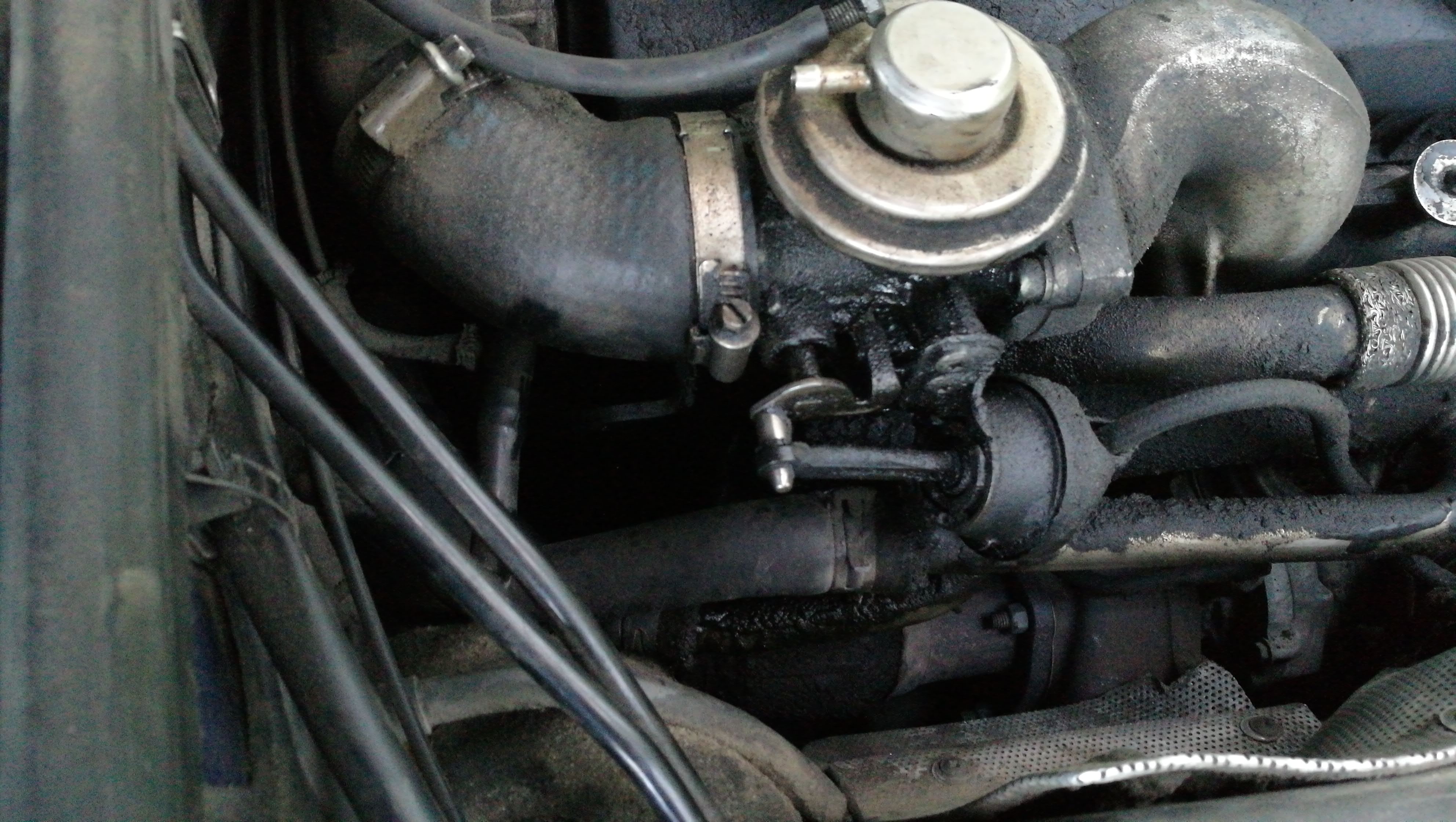 passat1.jpeg